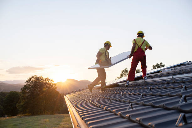 Best Roof Moss and Algae Removal  in Glassport, PA